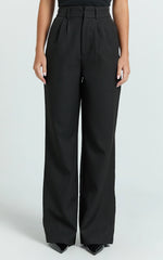 Melissa Pants - Pleat Front Wide Leg Tailored Pants in Black