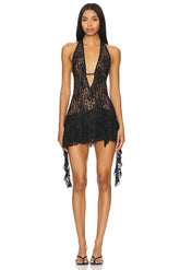 Irisia Lace Mini Dress